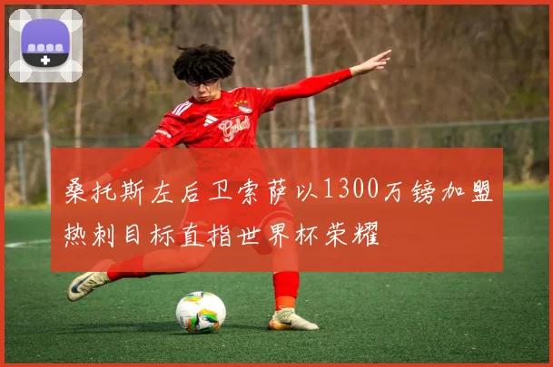 桑托斯左后卫索萨以1300万镑加盟热刺目标直指世界杯荣耀
