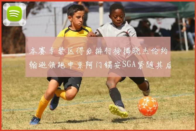 本赛季禁区得分排行榜揭晓杰伦约翰逊领跑申京阿门锡安SGA紧随其后