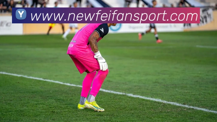 App Interface Preview