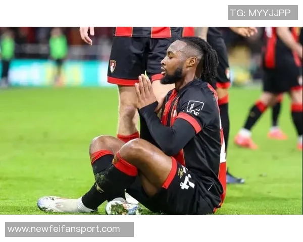 伯恩茅斯近年盈利分析：塞梅尼奥贡献6175万索兰克赫伊森均超4000万