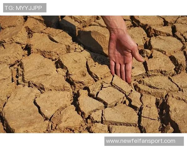 记者透露河床对迈阿密引援目标穆拉展开谈判引发关注